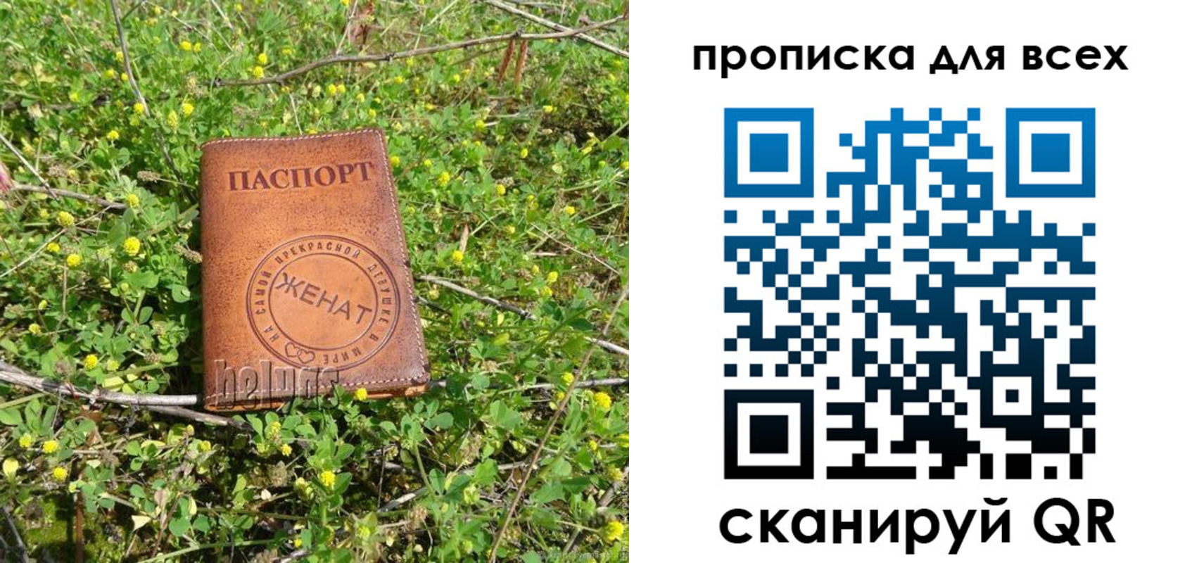 прописка поиск в Тимашёвске